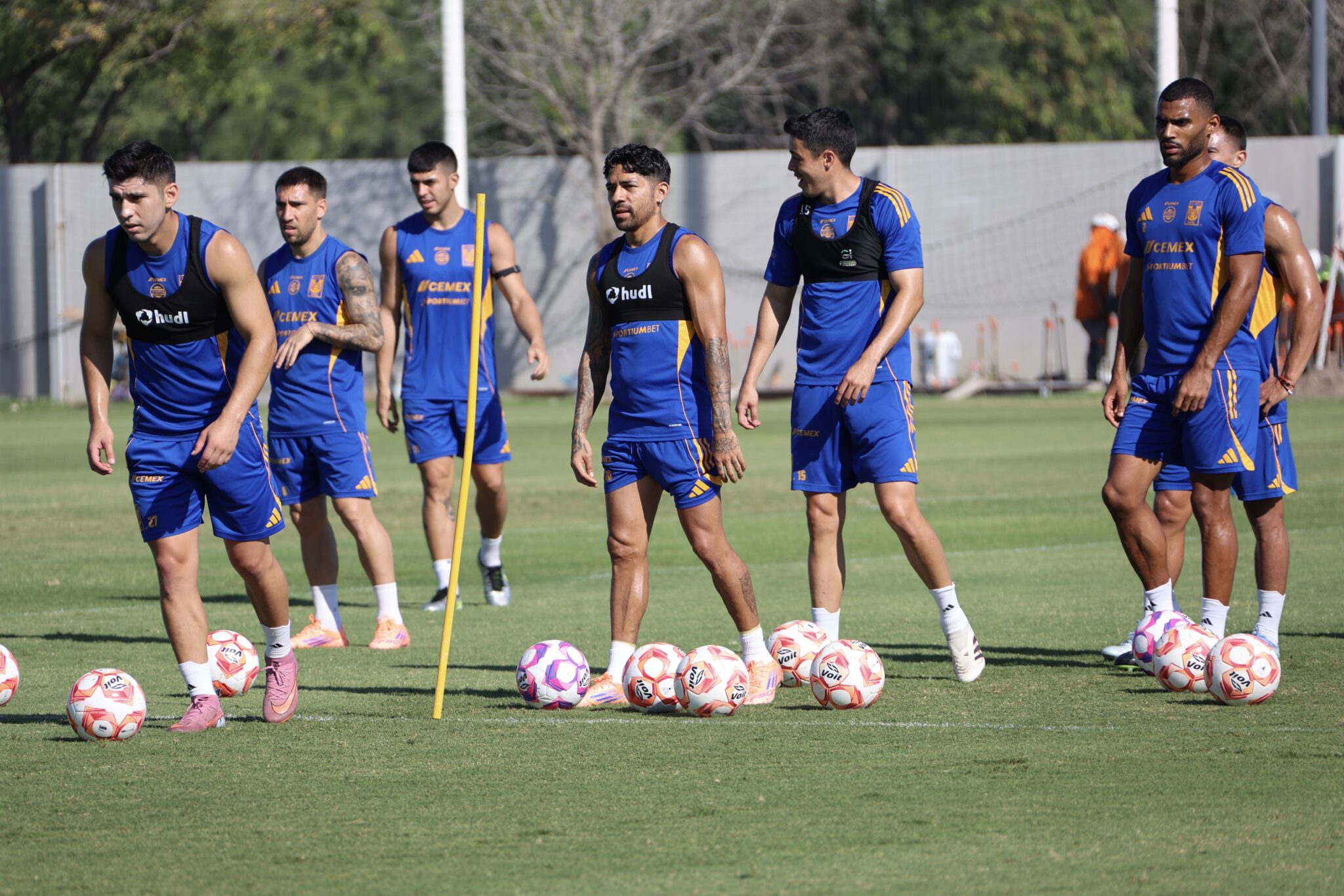 Inicio - Club Tigres UANL